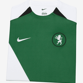 Camisola de futebol Sporting Third 24/25 Verde e Branco, estilo Nike, estampa de leão estampada.